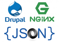 Drupal Nginx Json